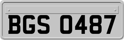 BGS0487