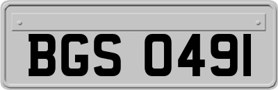 BGS0491