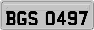 BGS0497