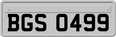 BGS0499