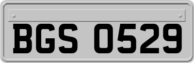BGS0529