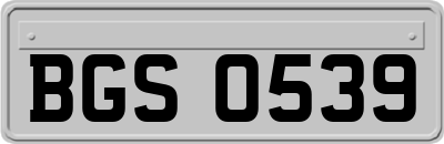 BGS0539