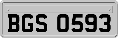 BGS0593