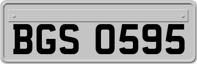 BGS0595