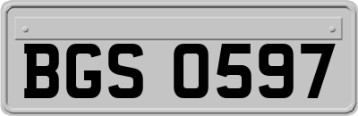 BGS0597