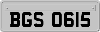 BGS0615