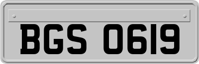 BGS0619