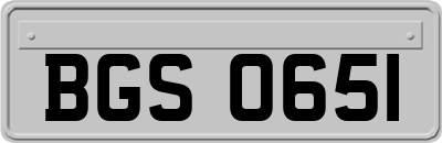 BGS0651