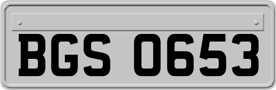BGS0653