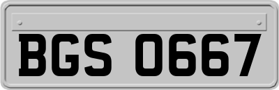 BGS0667
