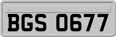 BGS0677