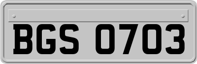 BGS0703