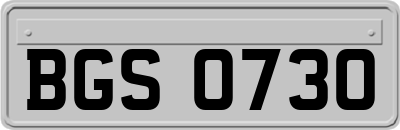 BGS0730