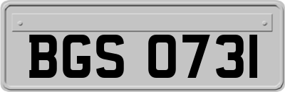 BGS0731