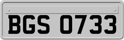 BGS0733