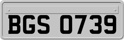 BGS0739