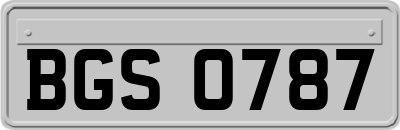 BGS0787