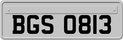 BGS0813