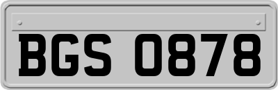 BGS0878
