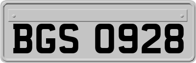 BGS0928