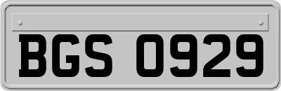 BGS0929