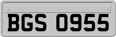 BGS0955