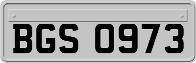 BGS0973