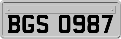 BGS0987