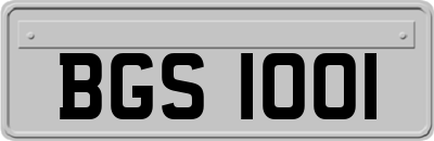 BGS1001