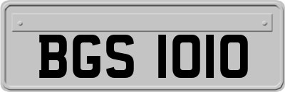 BGS1010
