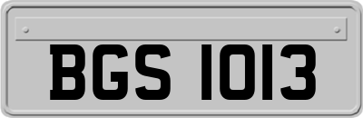 BGS1013