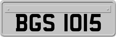 BGS1015