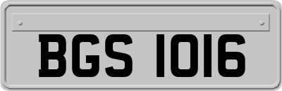 BGS1016