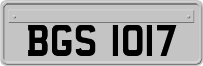 BGS1017