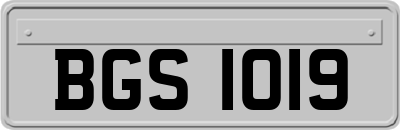 BGS1019