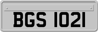 BGS1021