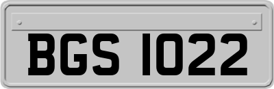 BGS1022
