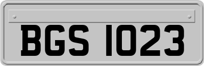 BGS1023