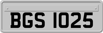 BGS1025