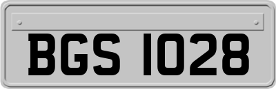 BGS1028