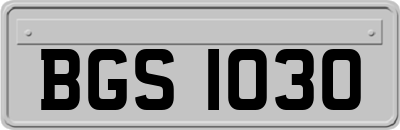 BGS1030
