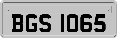 BGS1065
