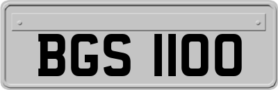 BGS1100