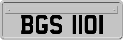 BGS1101