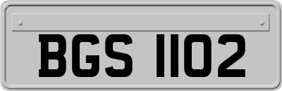 BGS1102