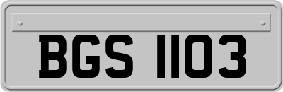 BGS1103