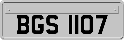 BGS1107