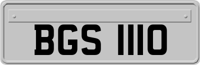 BGS1110