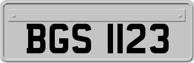 BGS1123