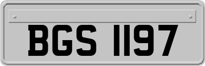 BGS1197